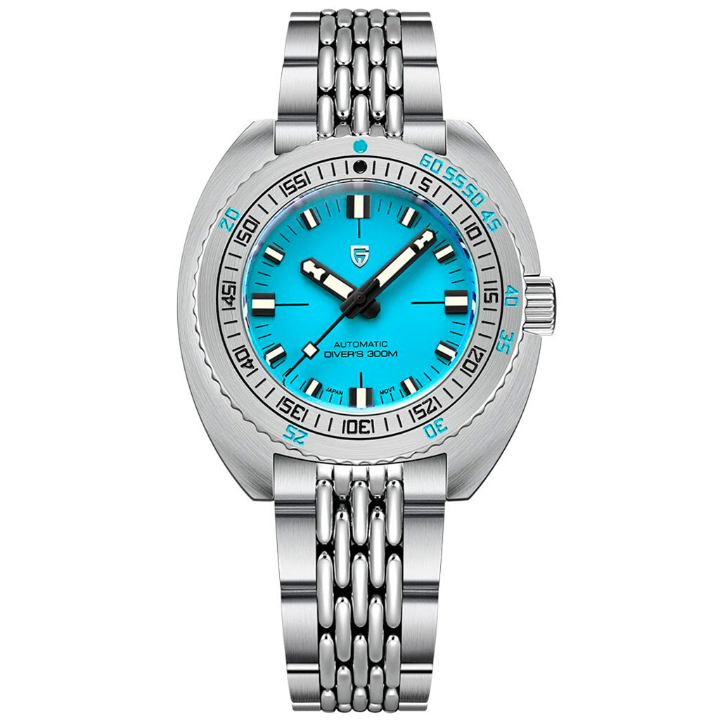 Pagani Design Turtle Turquoise - Pagani Design