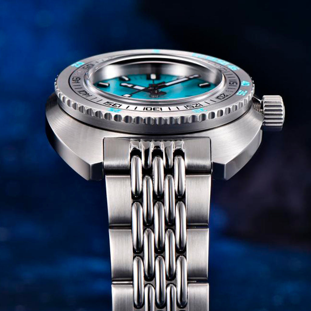 Pagani Design Turtle Turquoise - Pagani Design