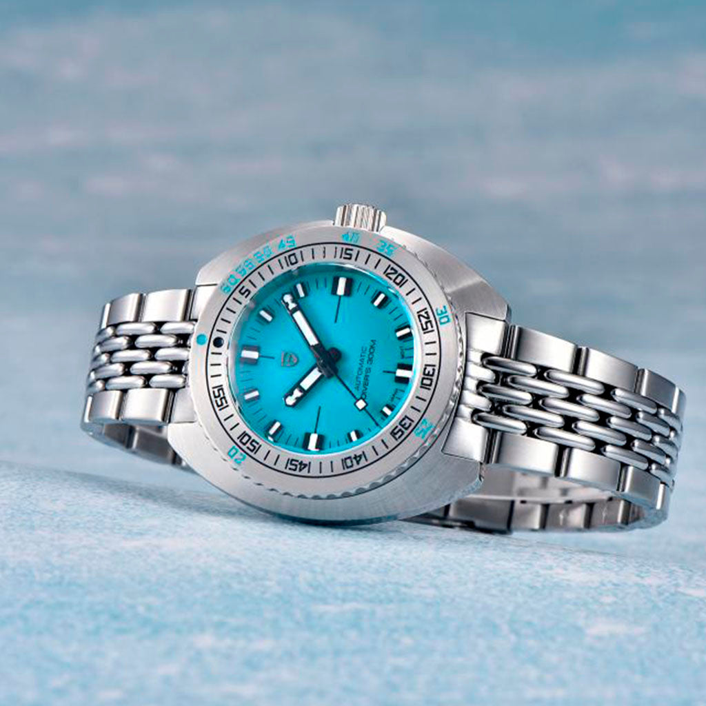 Pagani Design Turtle Turquoise - Pagani Design