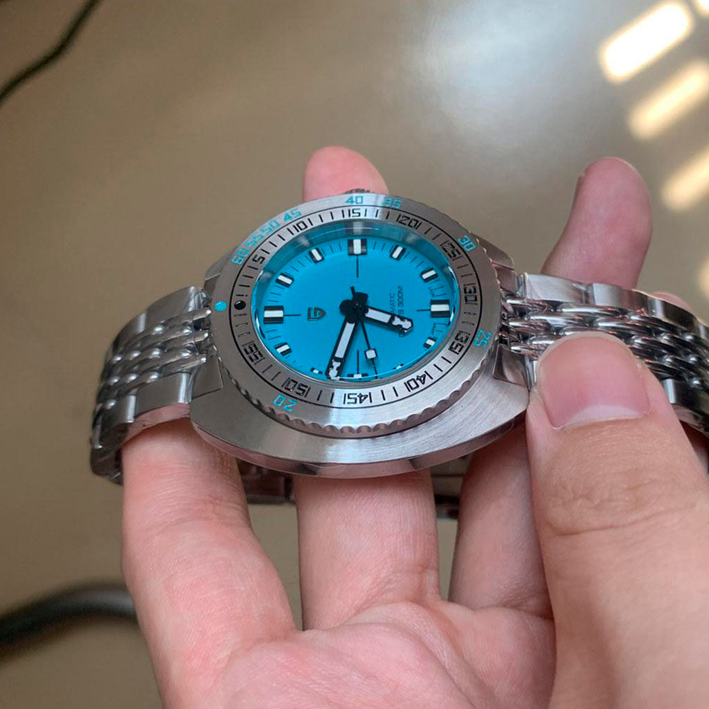 Pagani Design Turtle Turquoise - Pagani Design